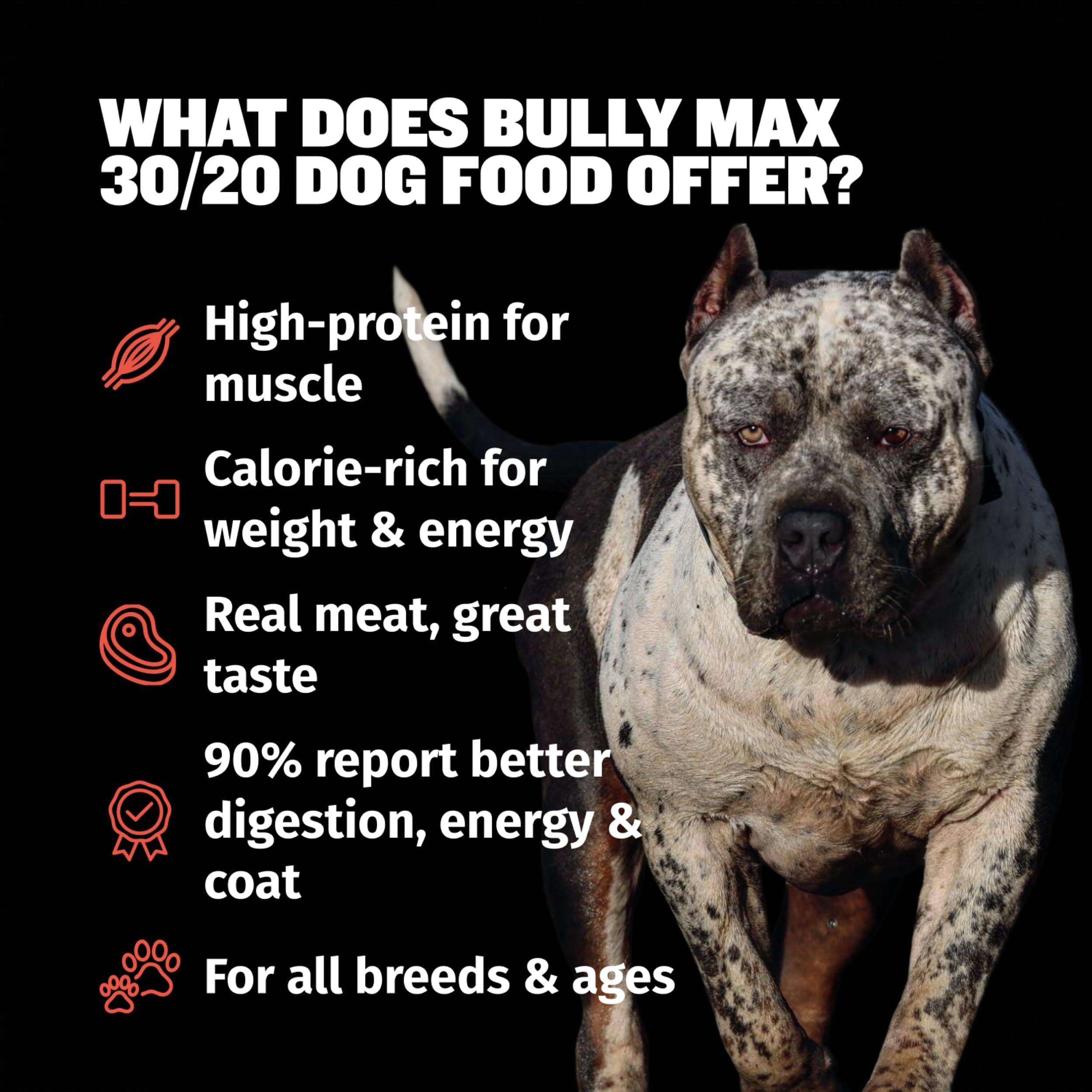Bully Max USA-made product shot emphasizes quality control and safety.