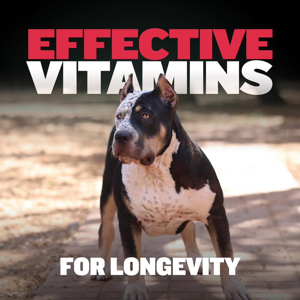 Bully Max immunity image showcases vitamin rich formula for immune support.
