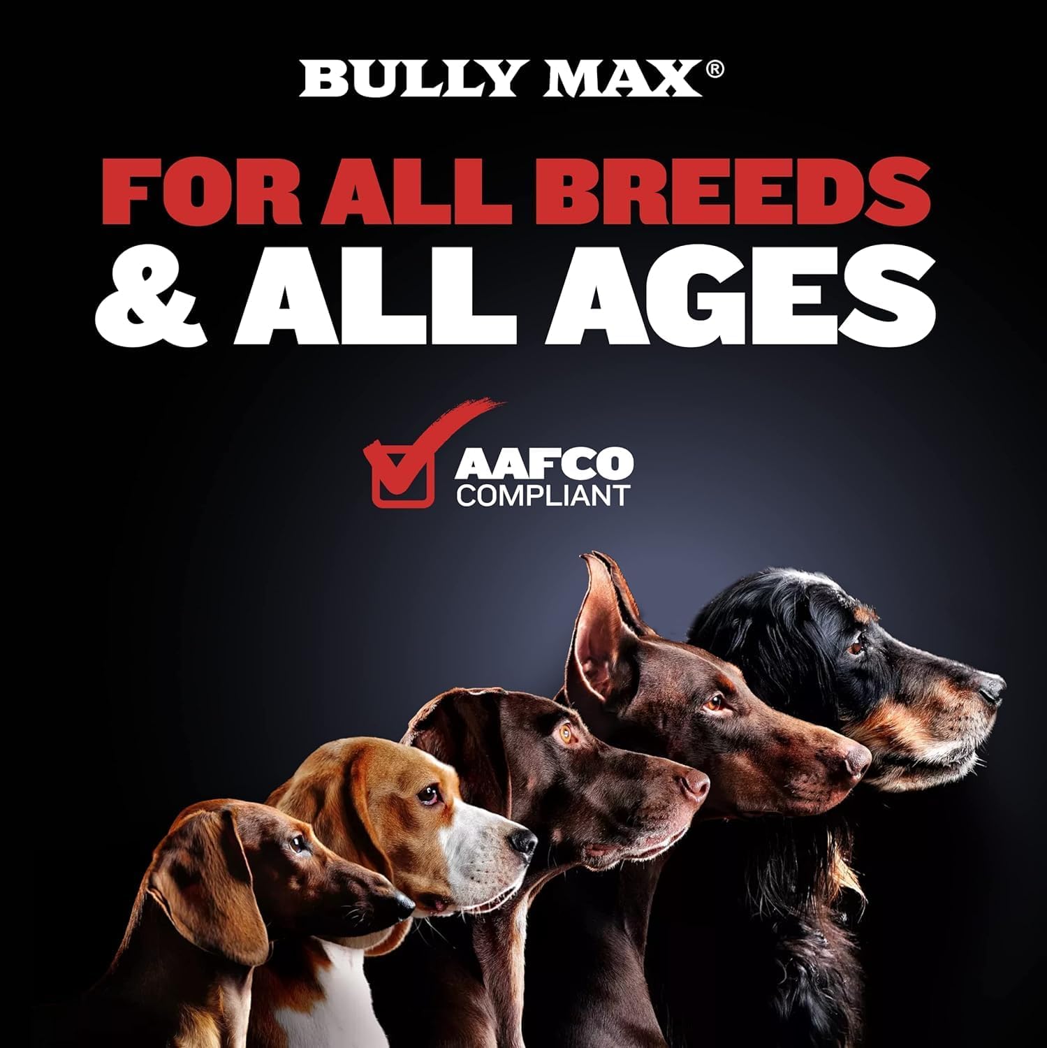 Bully Max Power Tabs tasty chew closeup: flavorful, easy to administer
