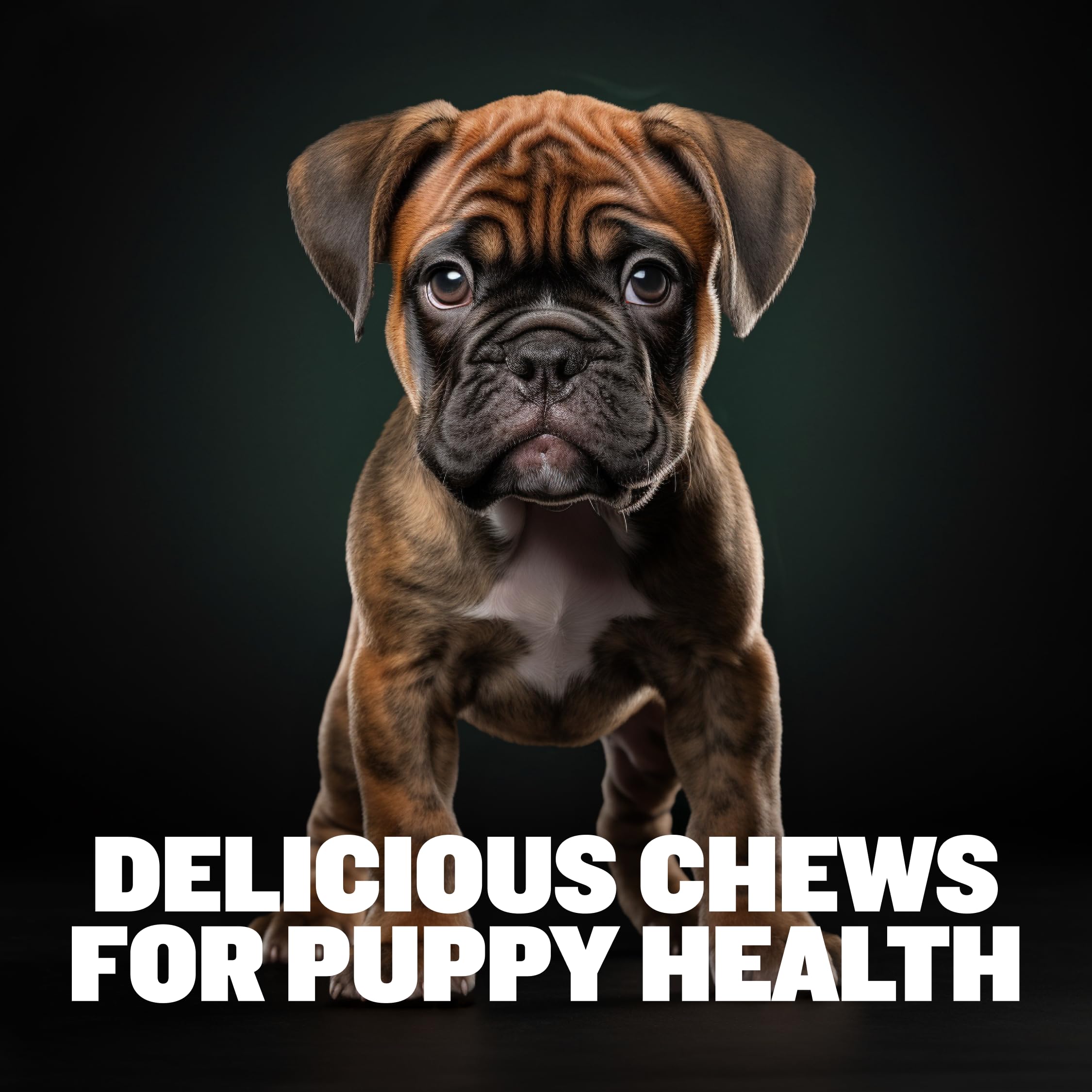 Bully Max probiotics blend promotes gut health in puppies.