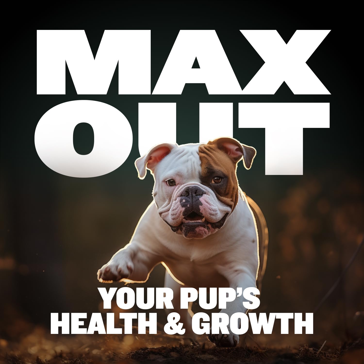Crushed Bully Max chews used as a convenient meals topper.