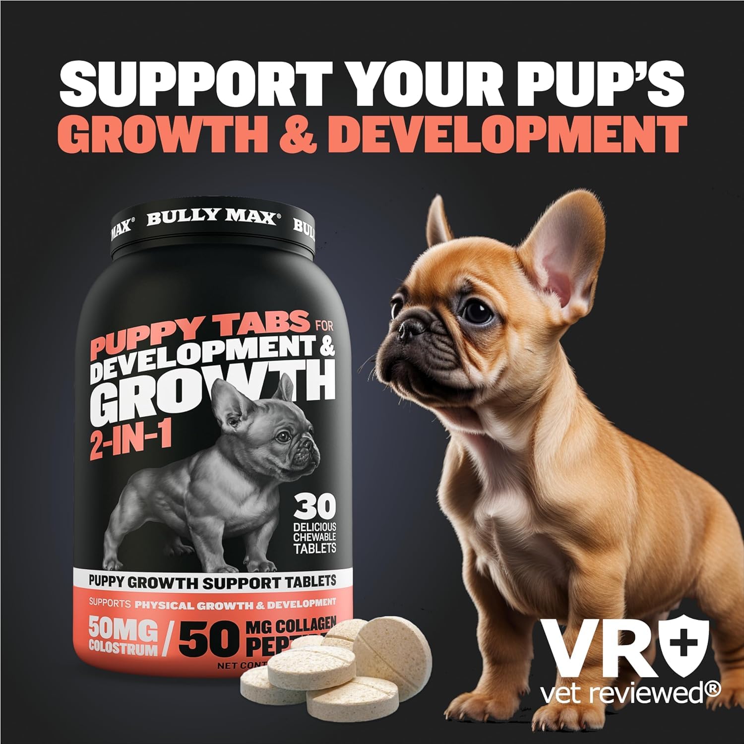 Bully Max puppy vitamins usage tips with owner guiding a puppy.