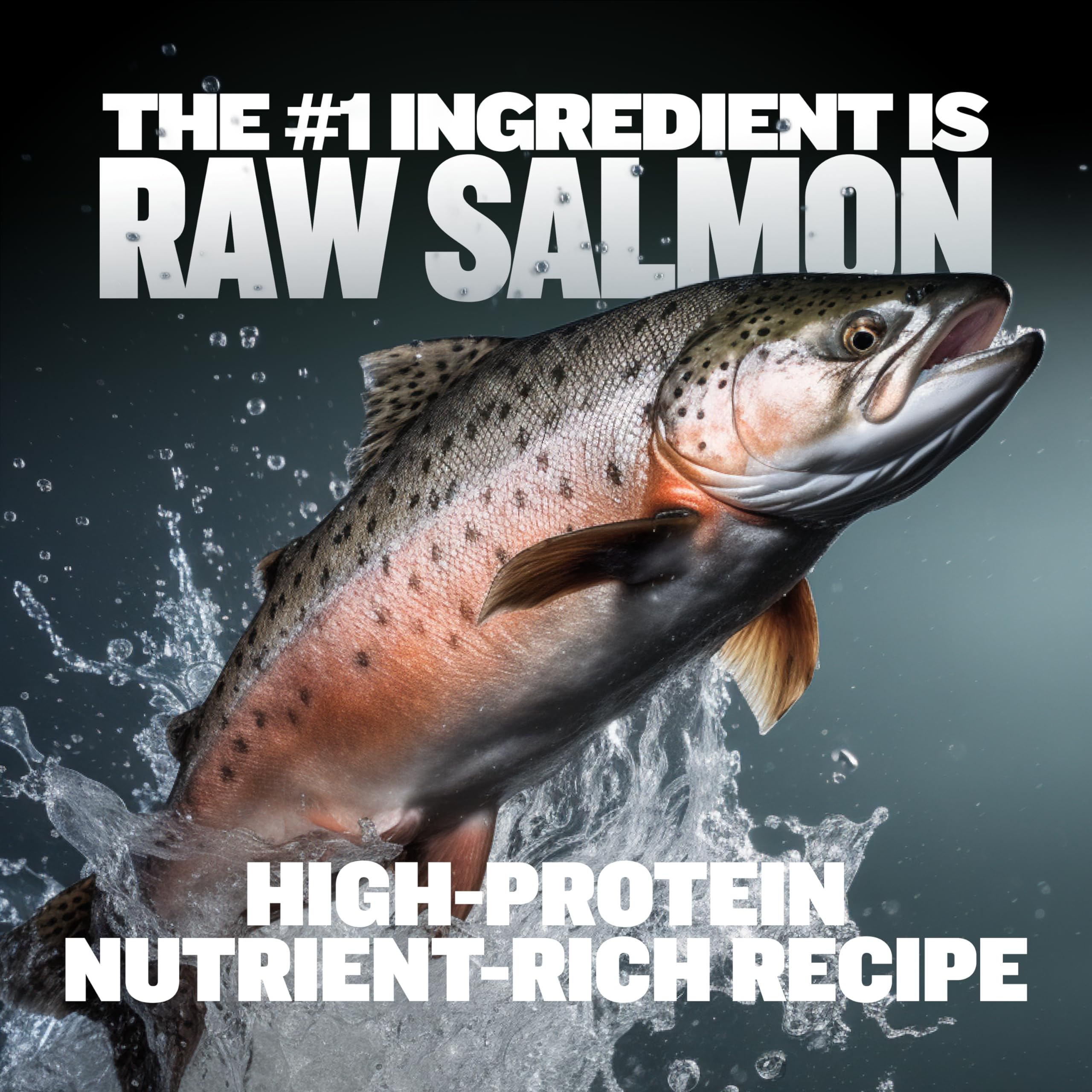 Bully Max salmon-chicken topper served in a bowl for balanced nutrition