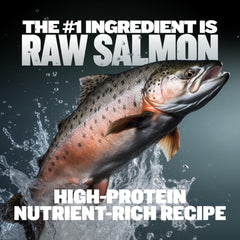 Bully Max salmon-chicken topper served in a bowl for balanced nutrition