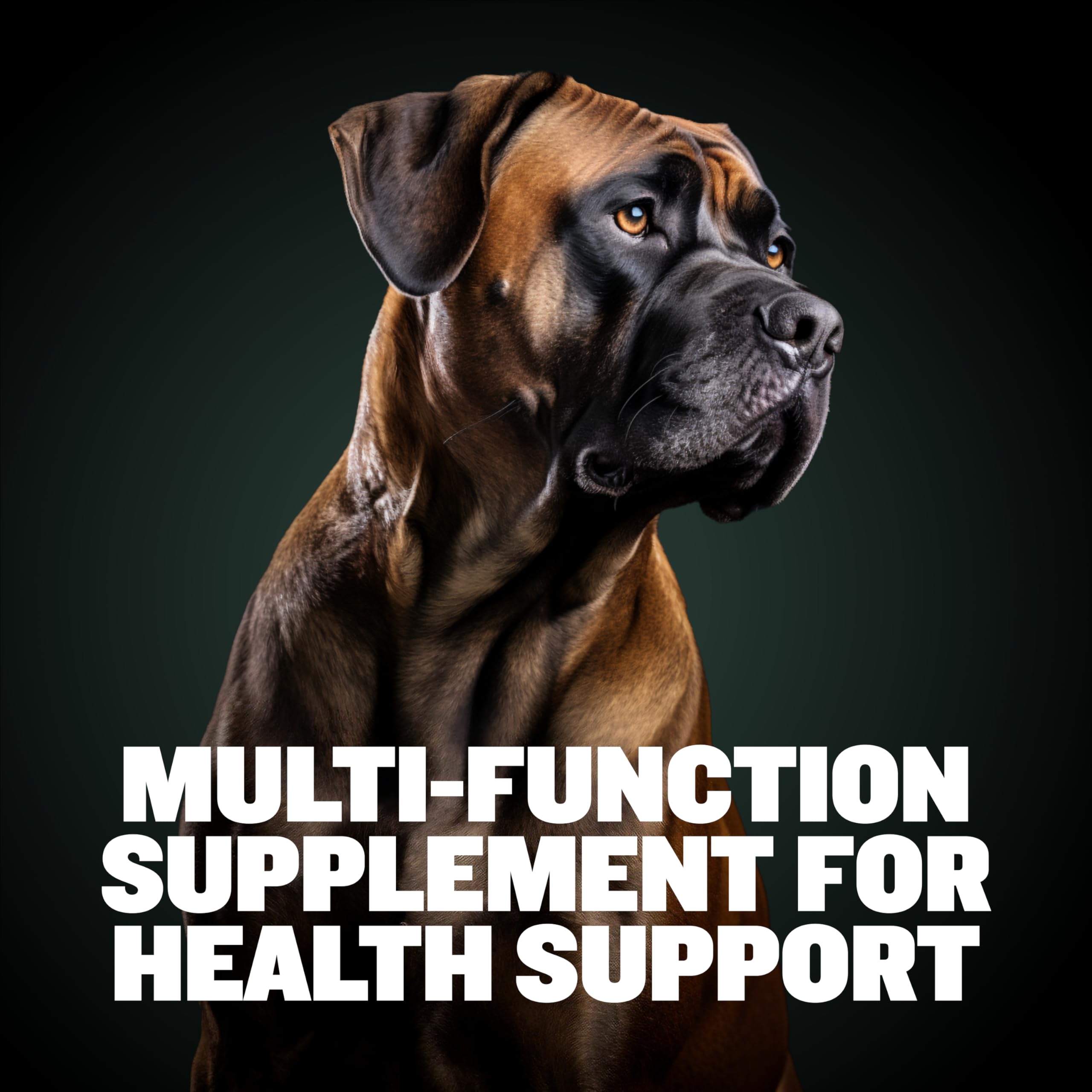 Bully Max Total Health label highlights omega-3 and essential vitamins for coat health.