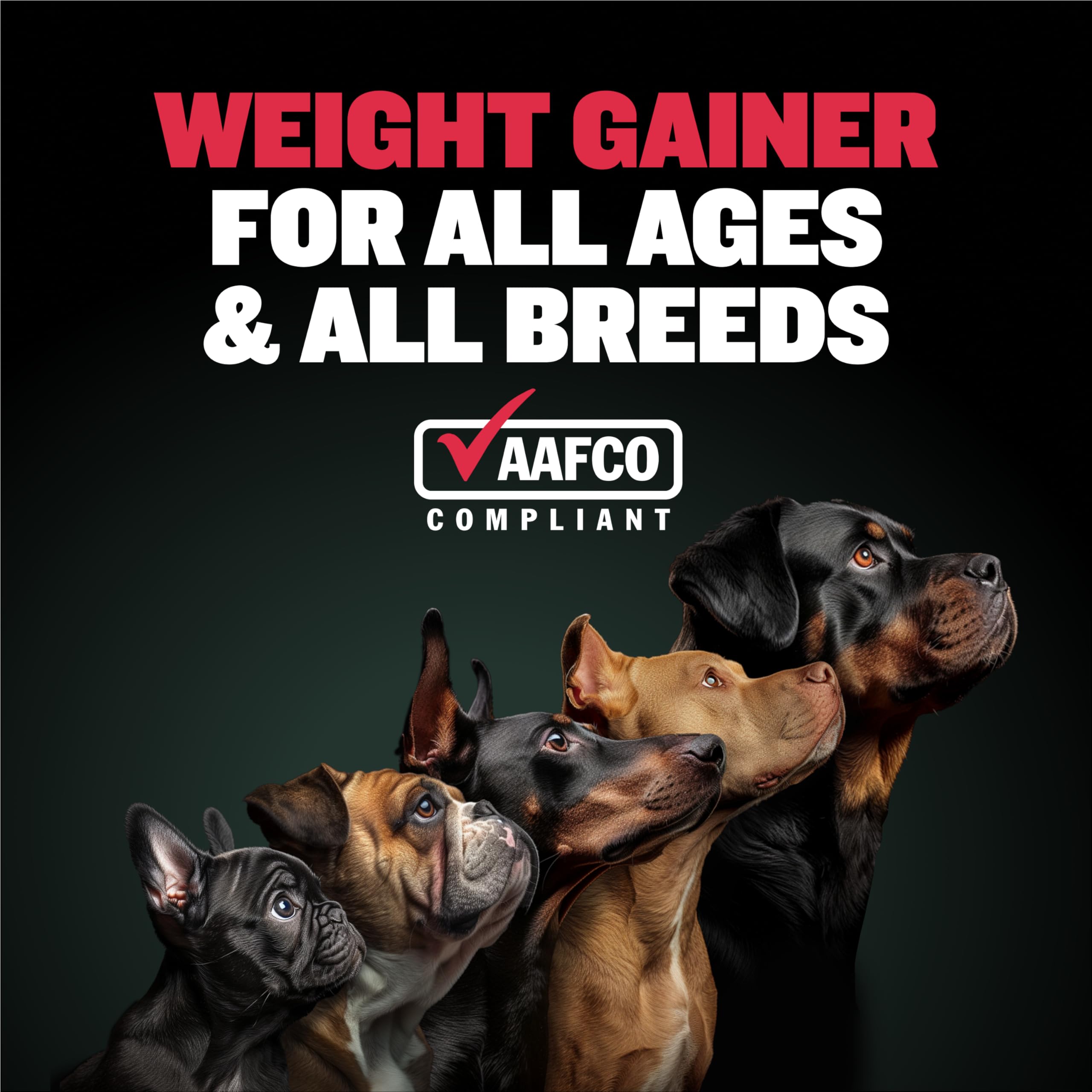 Bully Max Weight Gainer chews as tasty meal topper for extra nutrition