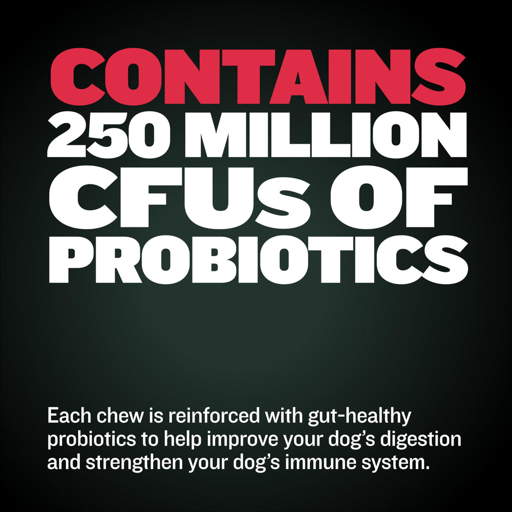 Bully Max Weight Gainer chews puppy serving highlighting probiotic blend for digestion