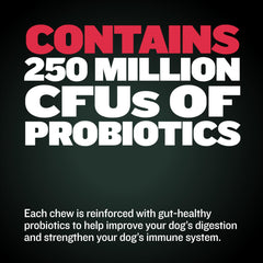 Bully Max Weight Gainer chews puppy serving highlighting probiotic blend for digestion