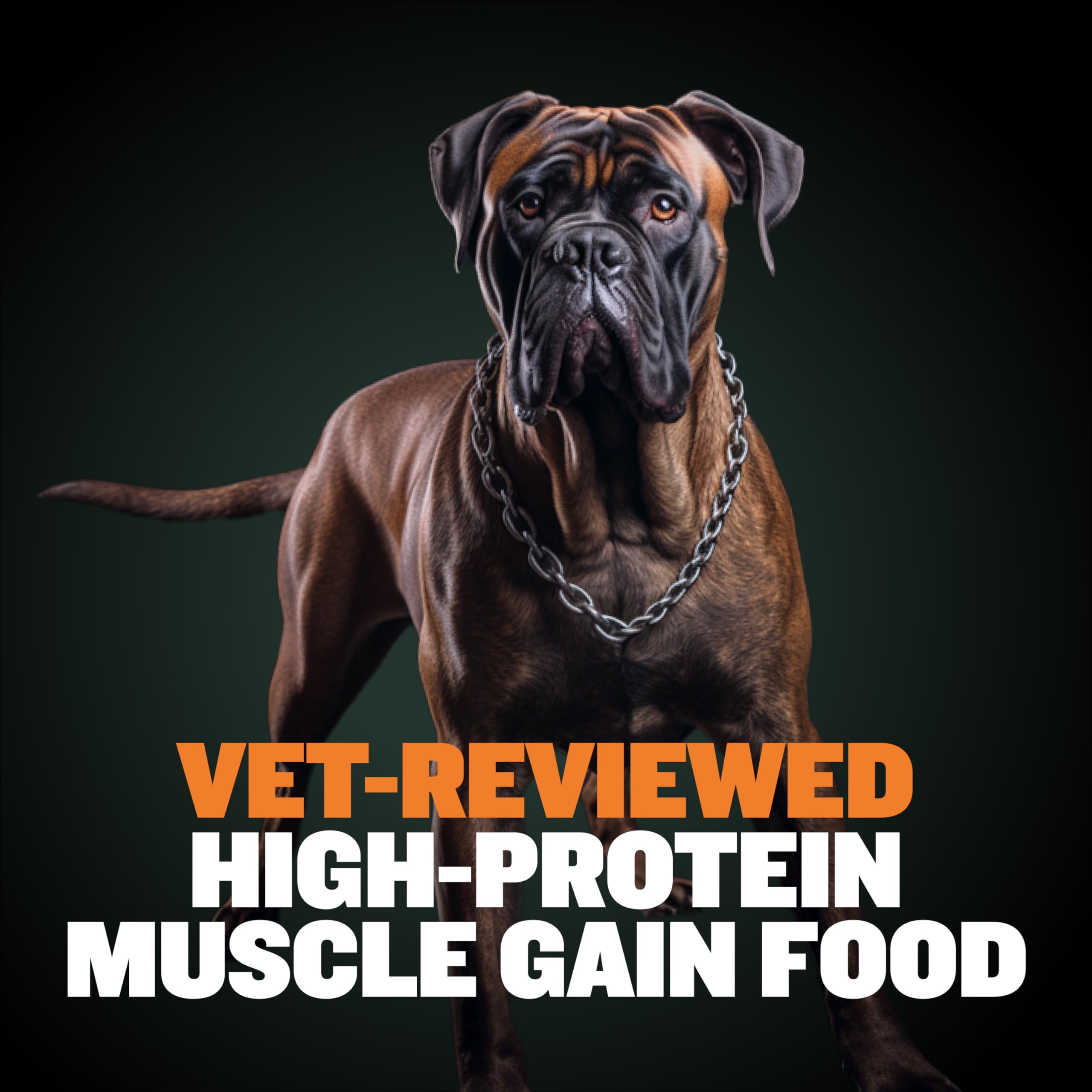 Bully Max Wet Puppy Food mealtime setup with a happy puppy.