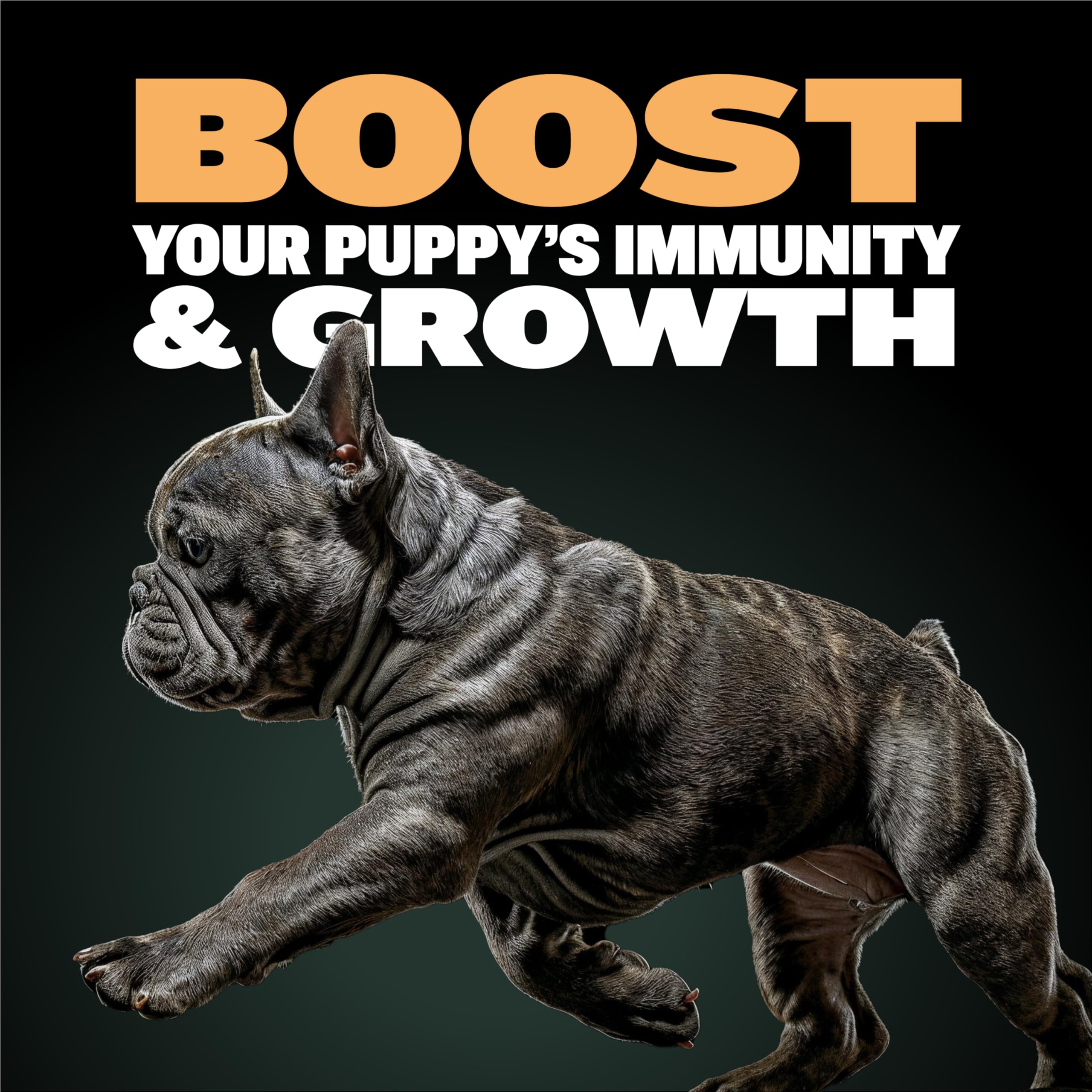 Bully Max Wet Puppy Food water rehydration process forming a soft, protein-rich puppy meal.