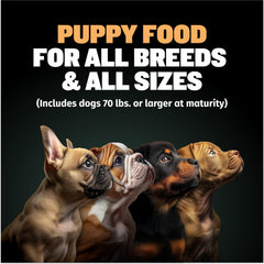 Bully Max Wet Puppy Food served in a bowl showing appetizing texture for puppies.