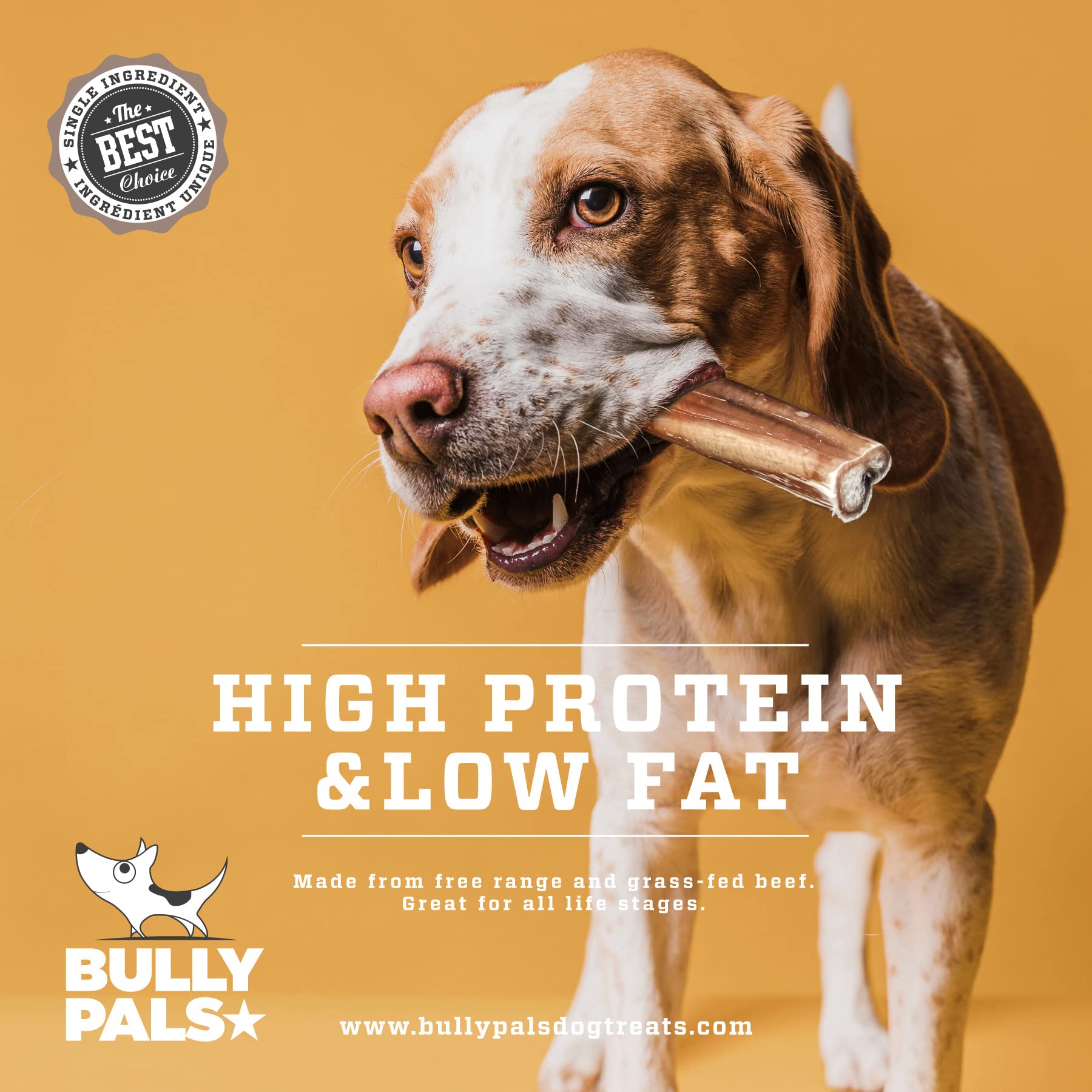 BULLY PALS long-lasting chew that keeps dogs engaged.