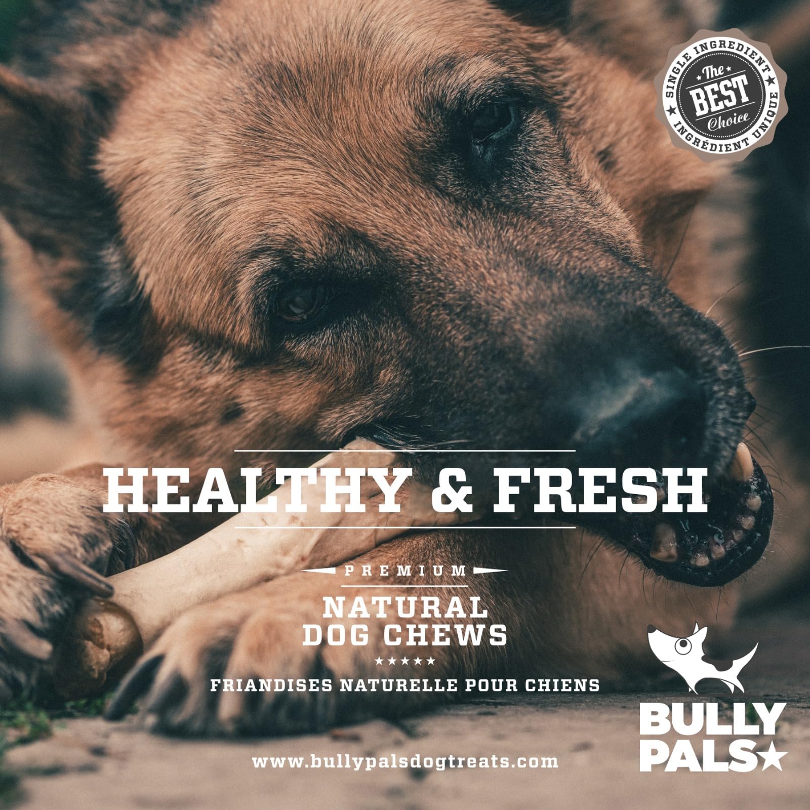 BULLY PALS low-odor chew ideal for shared spaces.