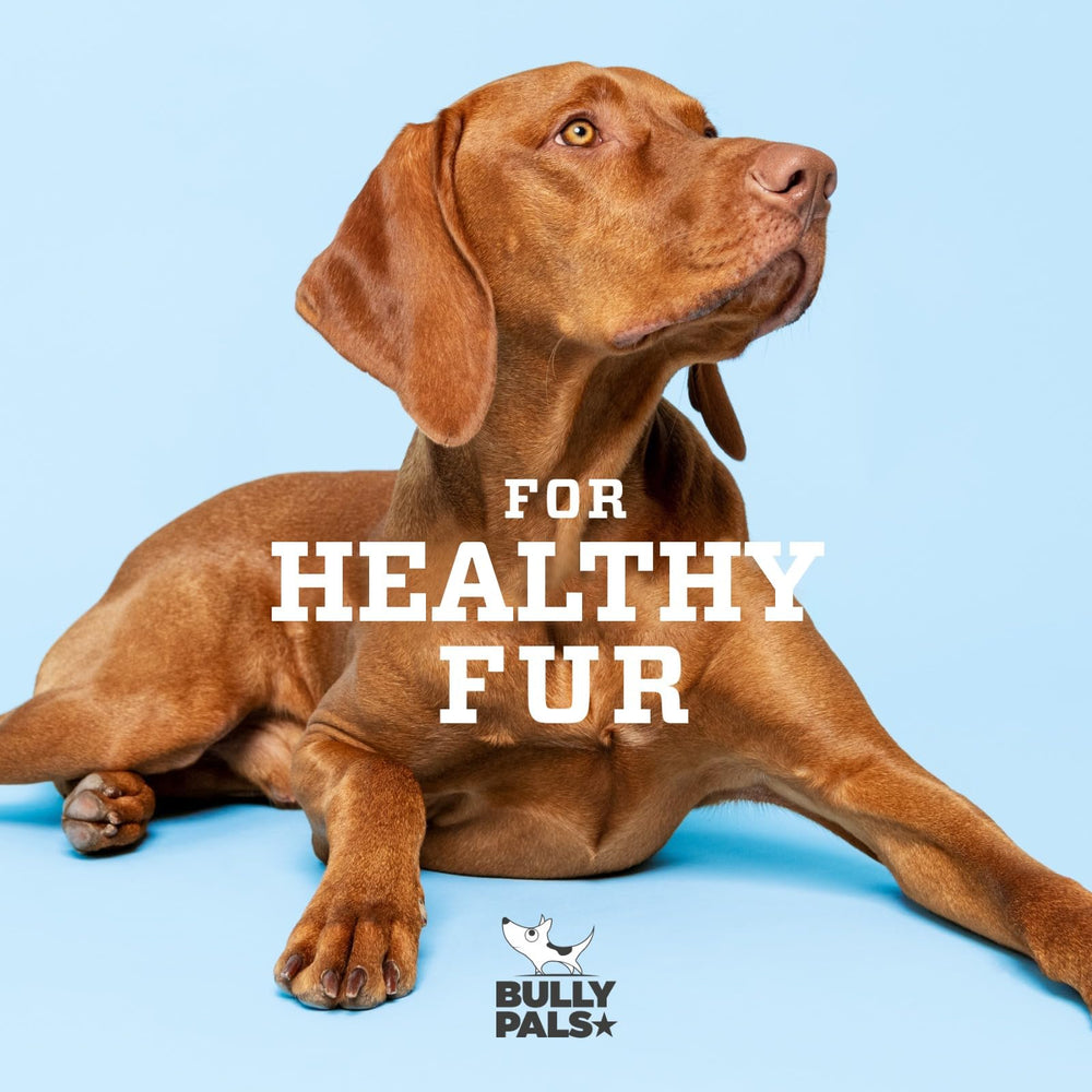 BULLY PALS protein-rich treat supports daily cravings.