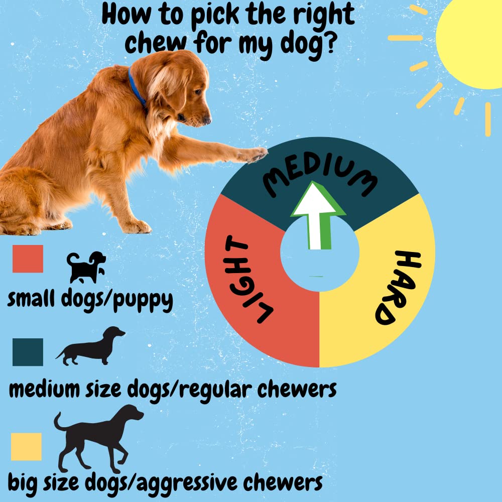 Bullysticks & More 8-count display offers convenient bulk dog chews.