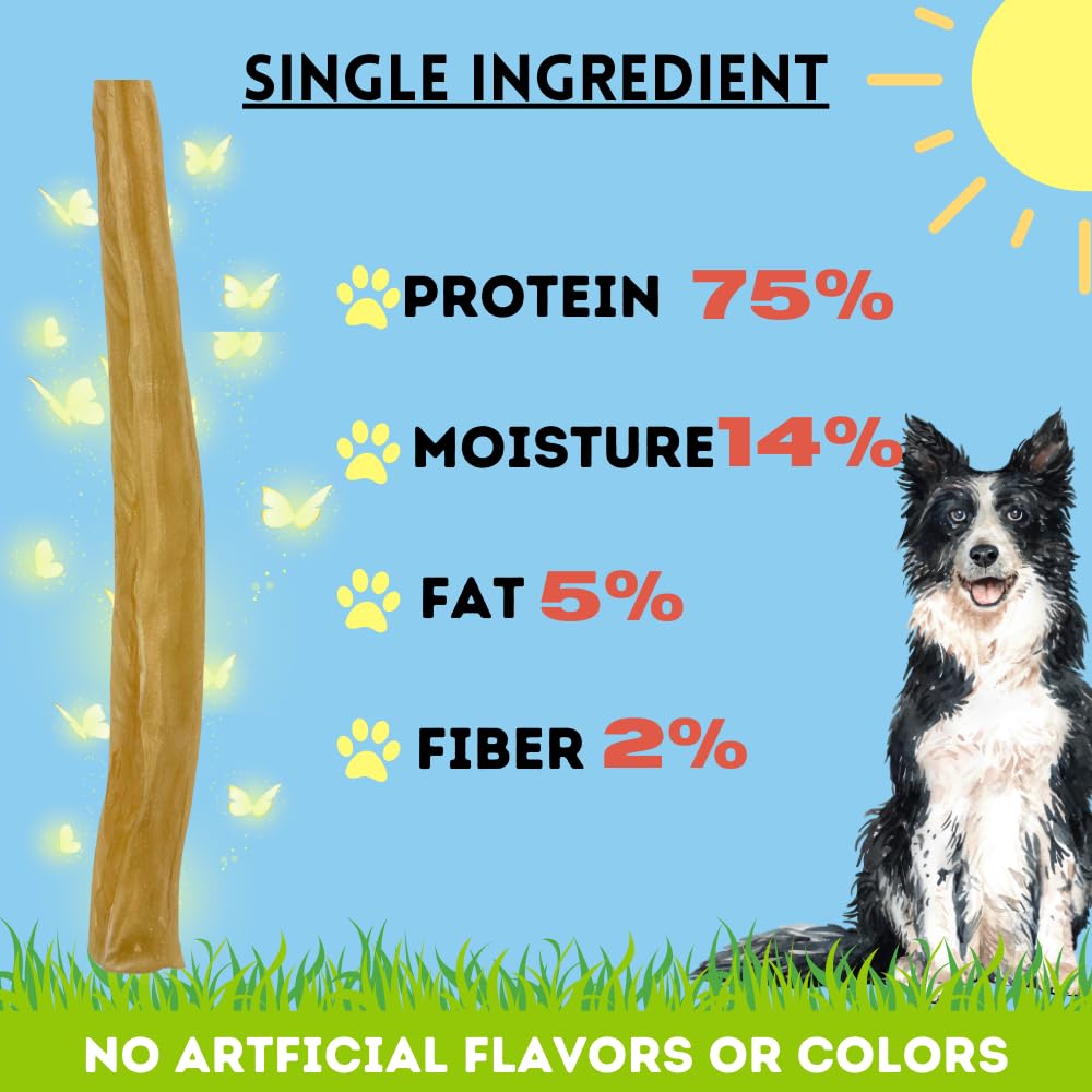 BULLYSTICKS & MORE dog enjoys collagen roll during playtime.