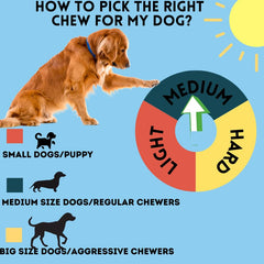 BULLYSTICKS & MORE beef cheek springs chew action engages dogs for extended chewing
