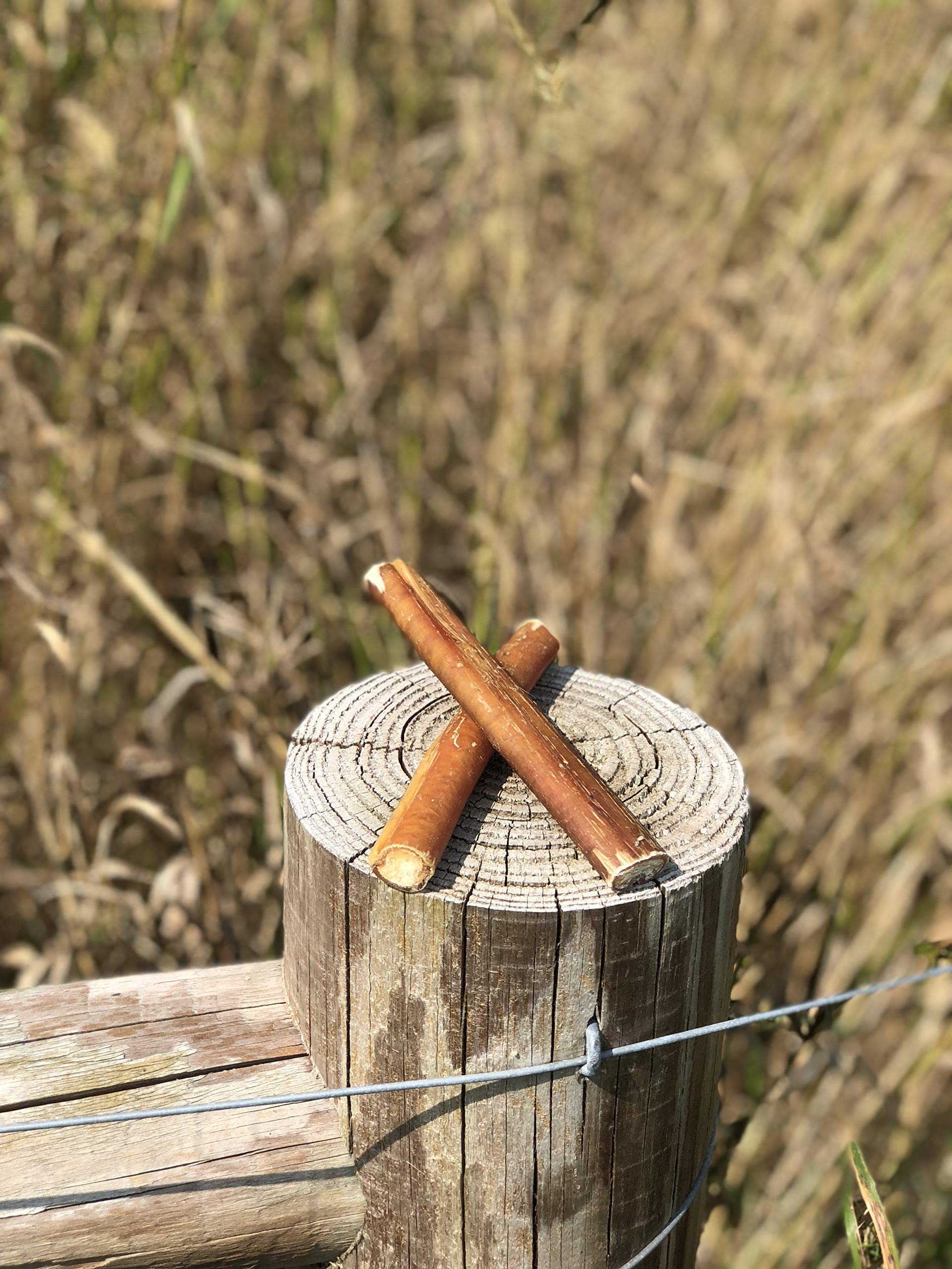 Bullysticks Organic donation initiative supports shelters and dogs