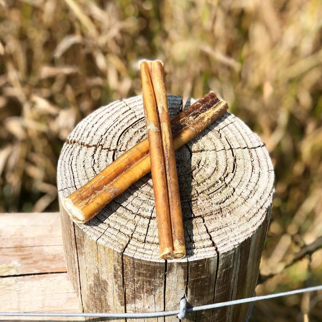 Bullysticks Organic long lasting chew for extended playtime