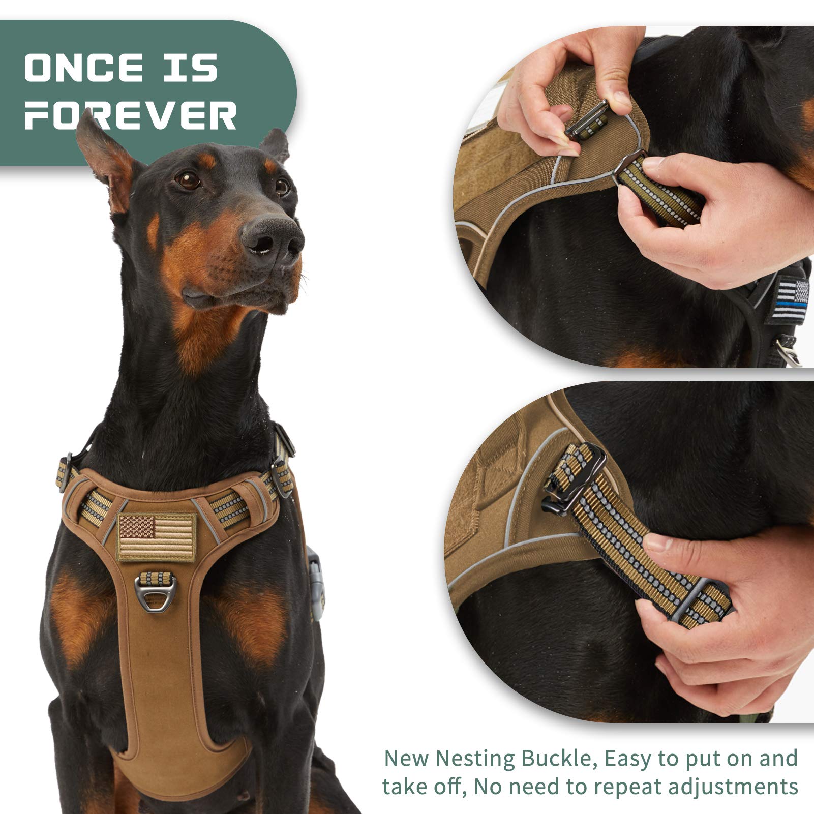 BUMBIN front-clip harness enables training and better control.