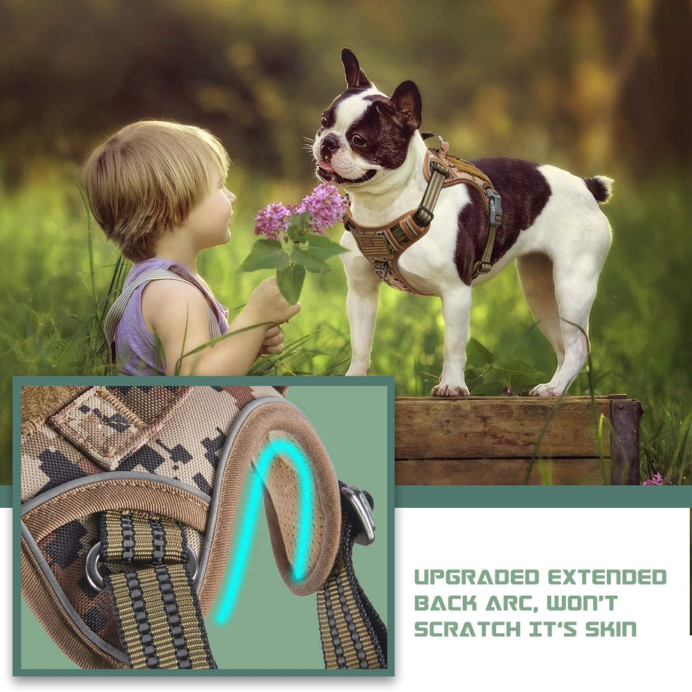 BUMBIN front-clip no-pull harness supports training and walks