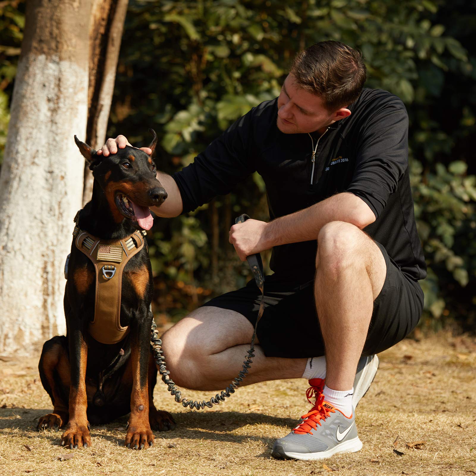 BUMBIN handle-equipped harness for quick assist and control.