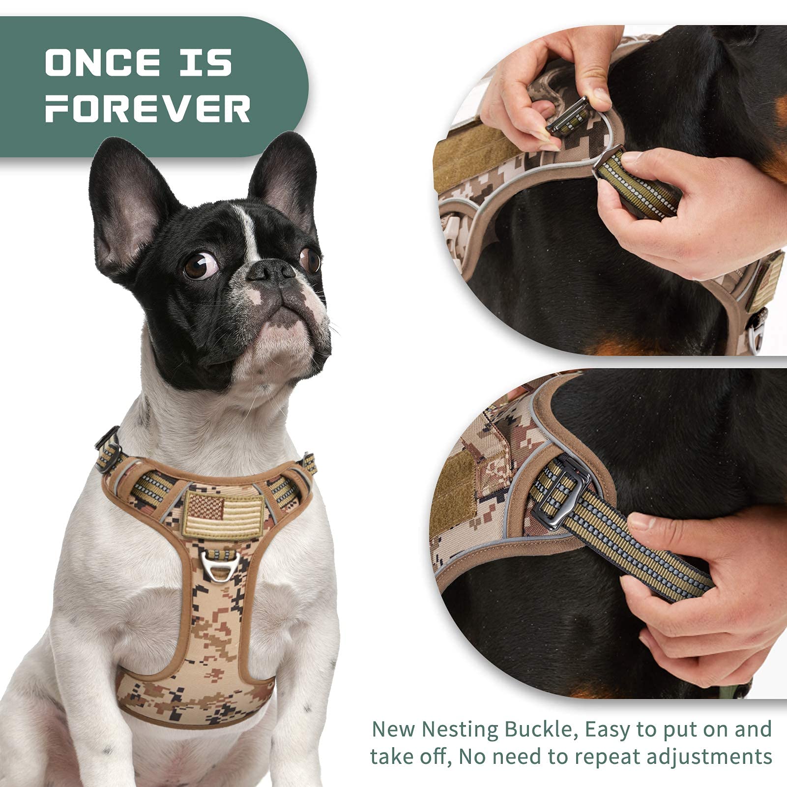 BUMBIN nesting buckle enables quick wear for easy outdoor training