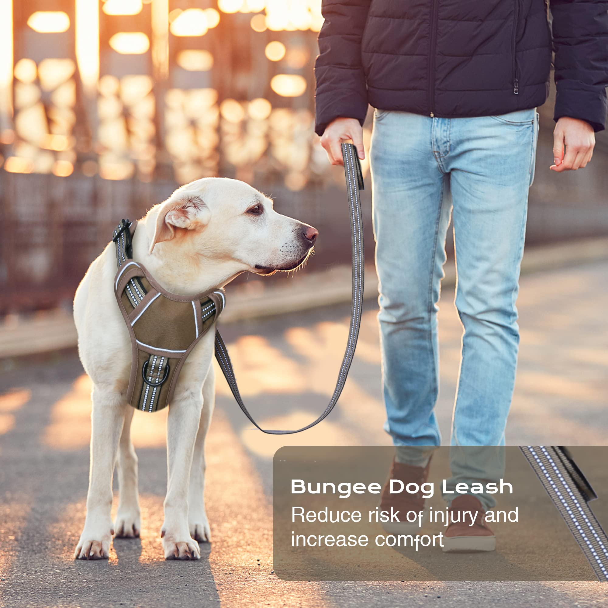 BUMBIN soft padding ergonomic design ensures all day dog comfort