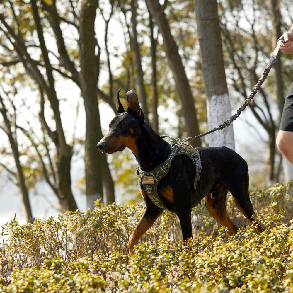 BUMBIN padded breathable vest keeps large dogs comfortable during long wear.