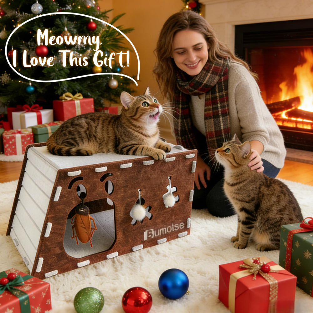 Bumotse-top-capacity-22lb-multi-cat supports two cats in shared spaces.