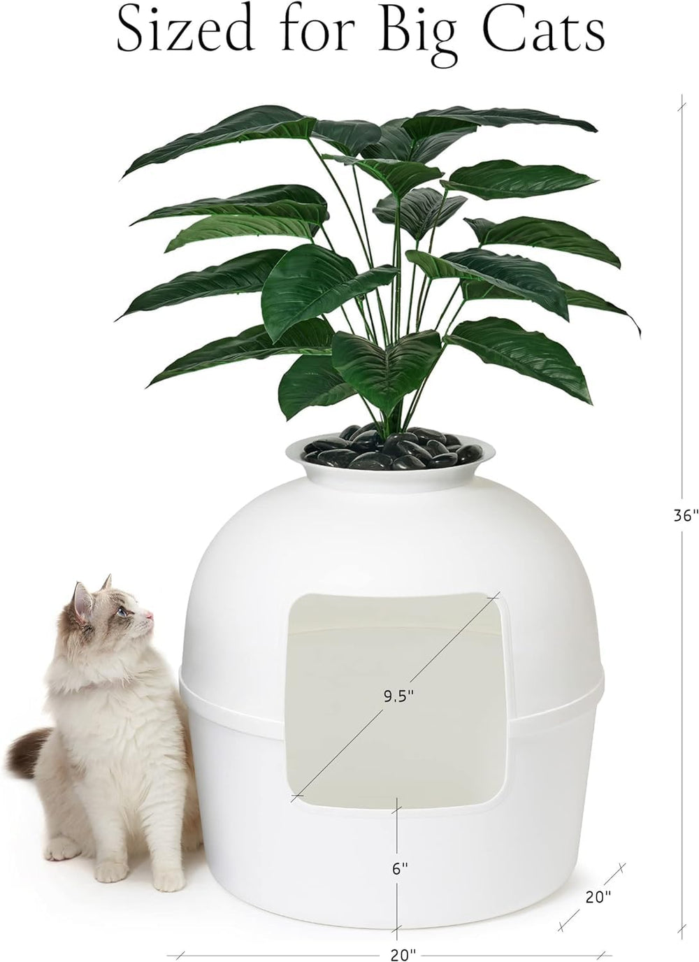 Bundle & Bliss Secret Litter Box packaging front shows quick setup features.
