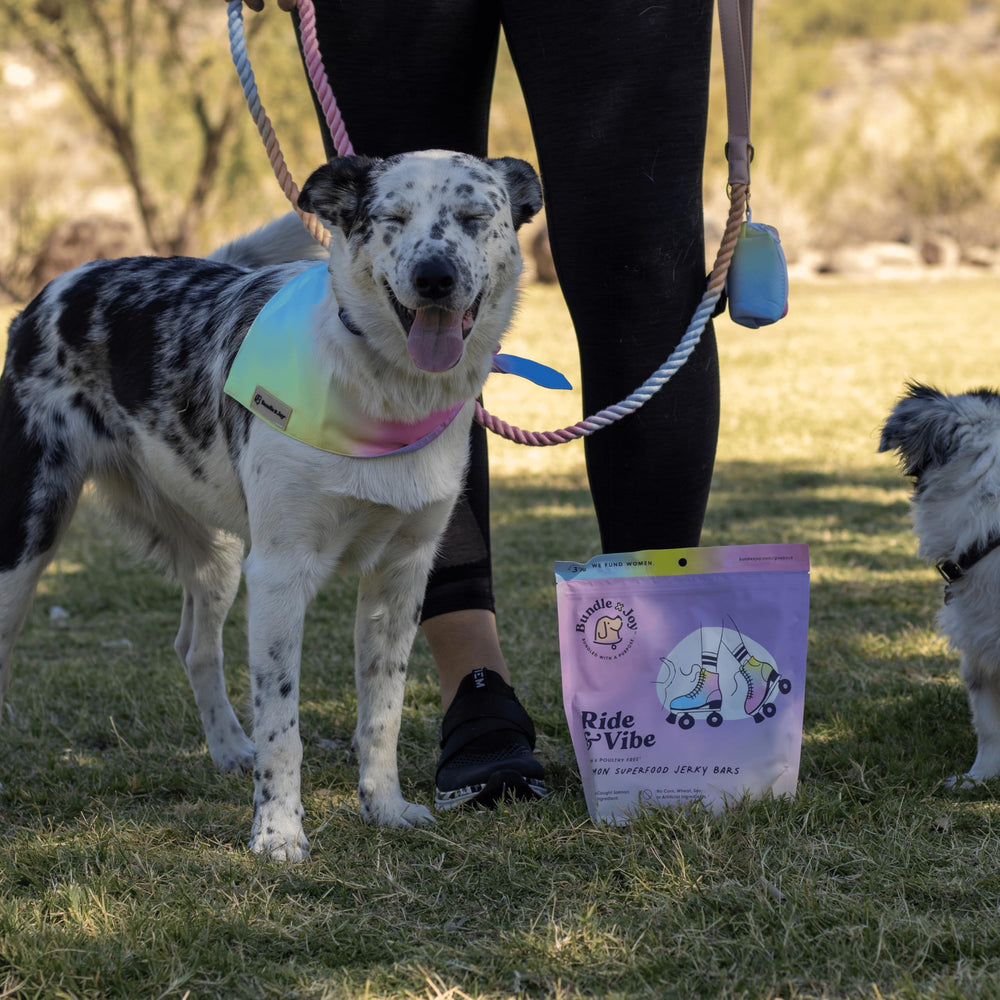 Bundle x Joy Ride & Vibe Salmon Jerky grain-free label emphasizes poultry-free recipe.