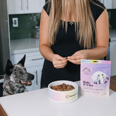 Bundle x Joy Ride & Vibe Salmon Jerky ingredients panel with natural superfoods.