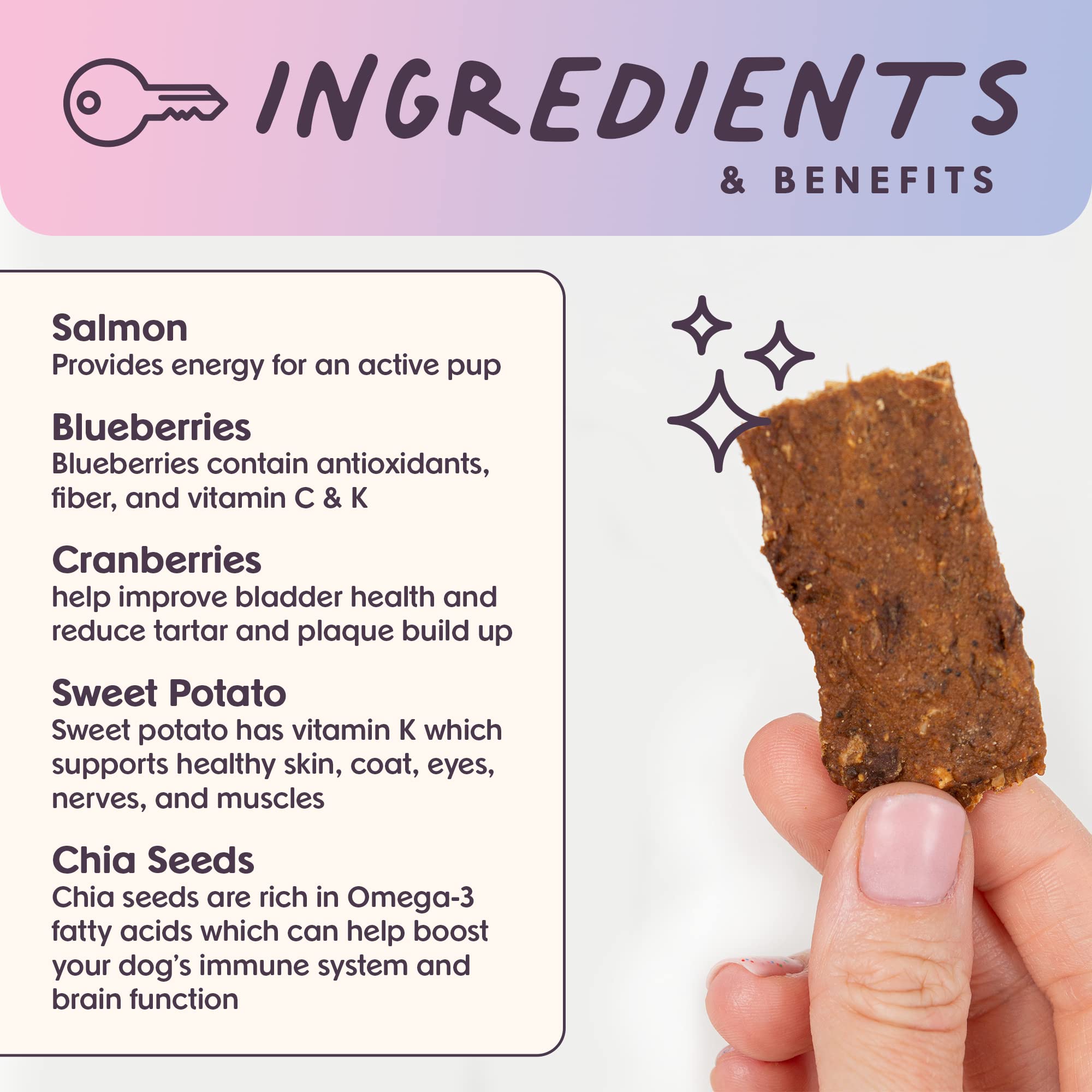 Bundle x Joy Ride & Vibe Salmon Jerky training treats closeup with bite-sized pieces.