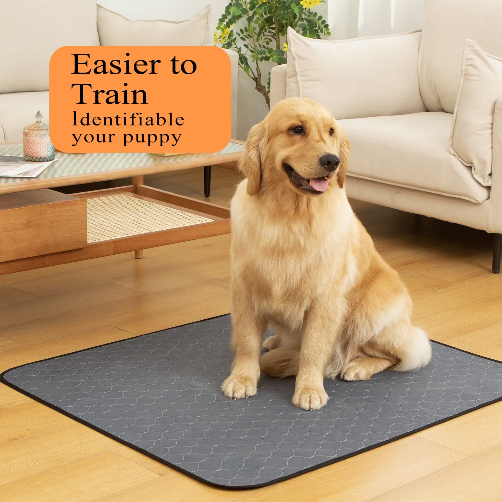 Bunlitent pad anti-slip bottom keeps it secure on smooth floors.