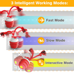 BUPIHUKA Interactive Dog Ball moving indoors with lights and sounds for active play