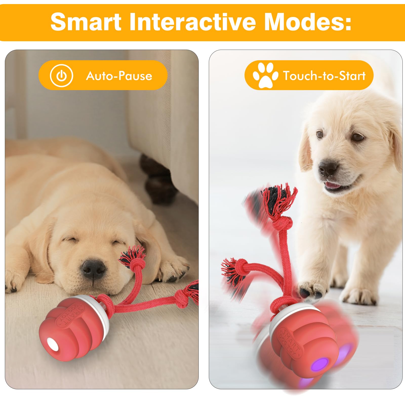 BUPIHUKA Interactive Dog Ball tug area enables gentle pulling games