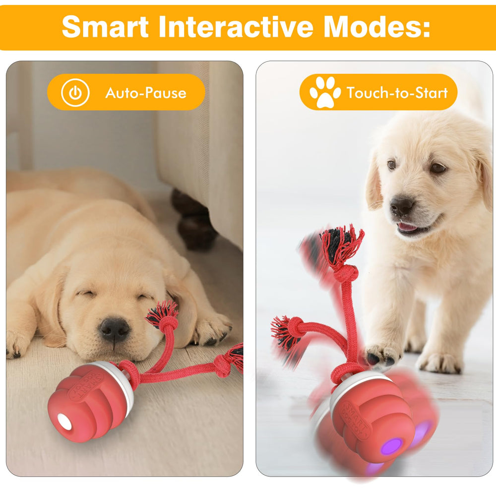 BUPIHUKA Interactive Dog Ball tug area enables gentle pulling games