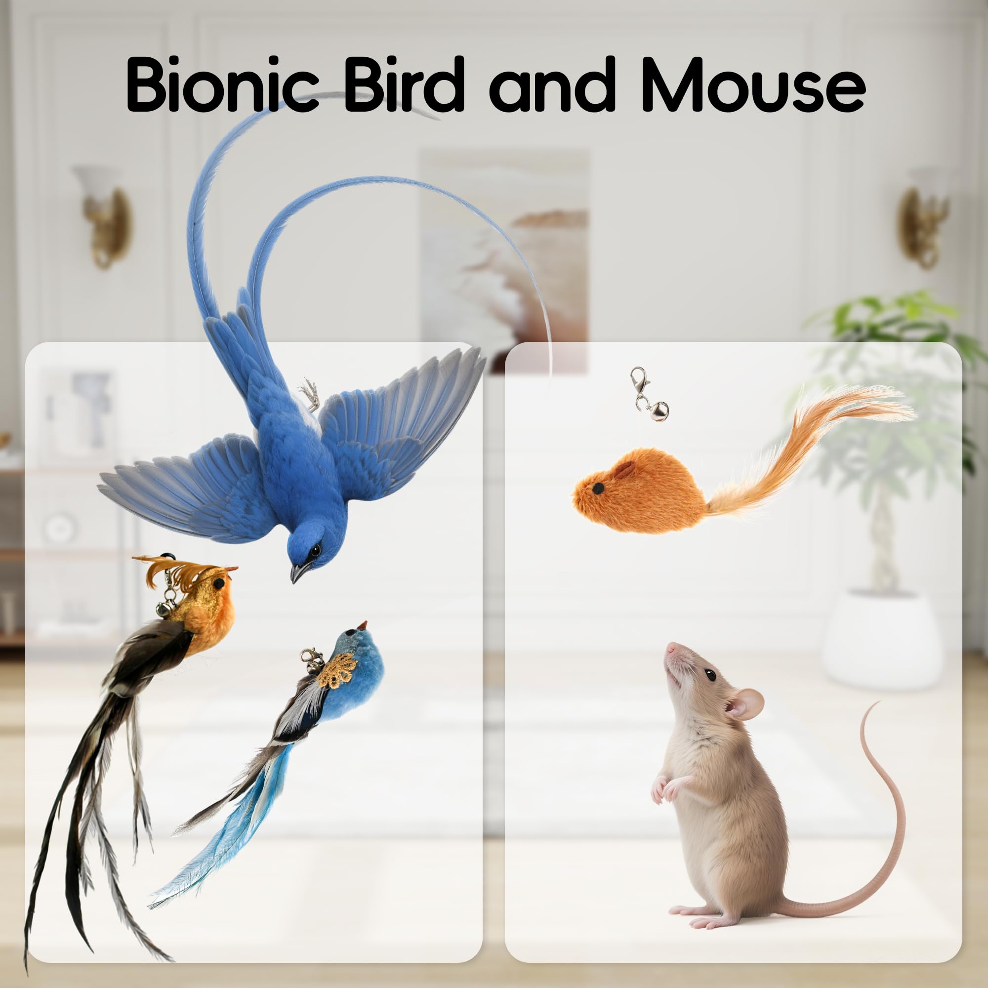 BURCHLIFE colorful bird attachments during playful chase