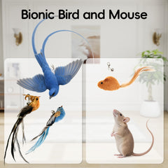 BURCHLIFE colorful bird attachments during playful chase