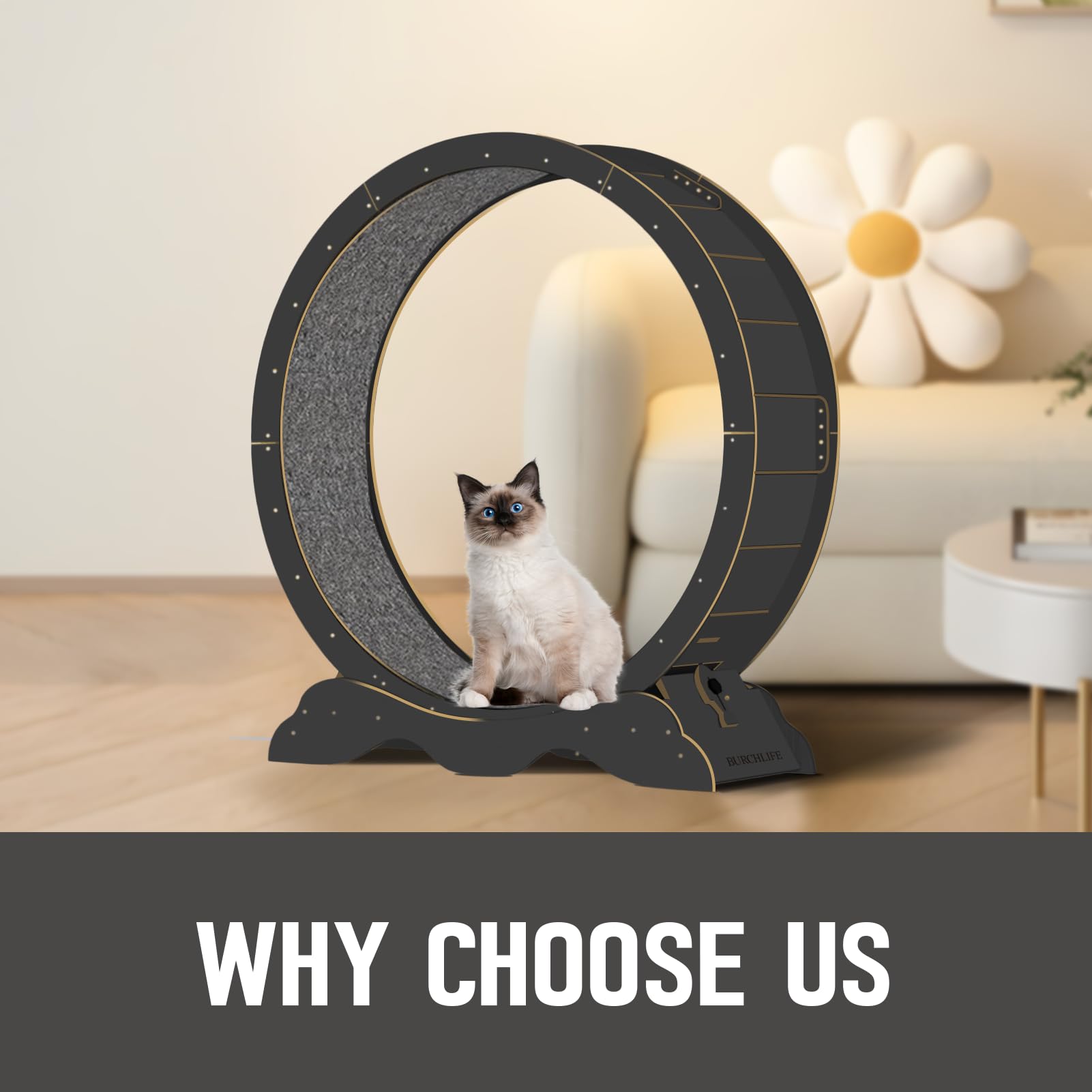 BURCHLIFE cat treadmill pad is removable for easy cleaning after play.