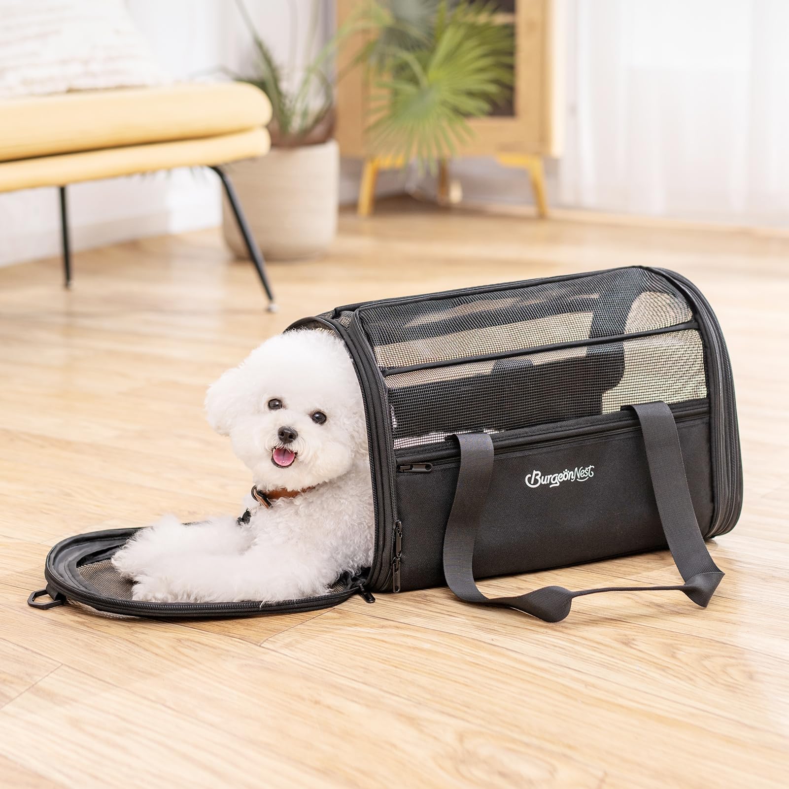 BurgeonNest suitable for pets up to 16 pounds for small-dog or cat use