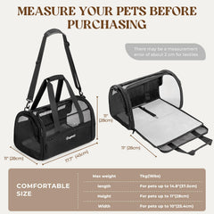 BurgeonNest expanded cozy pet bed within the carrier for restful travel