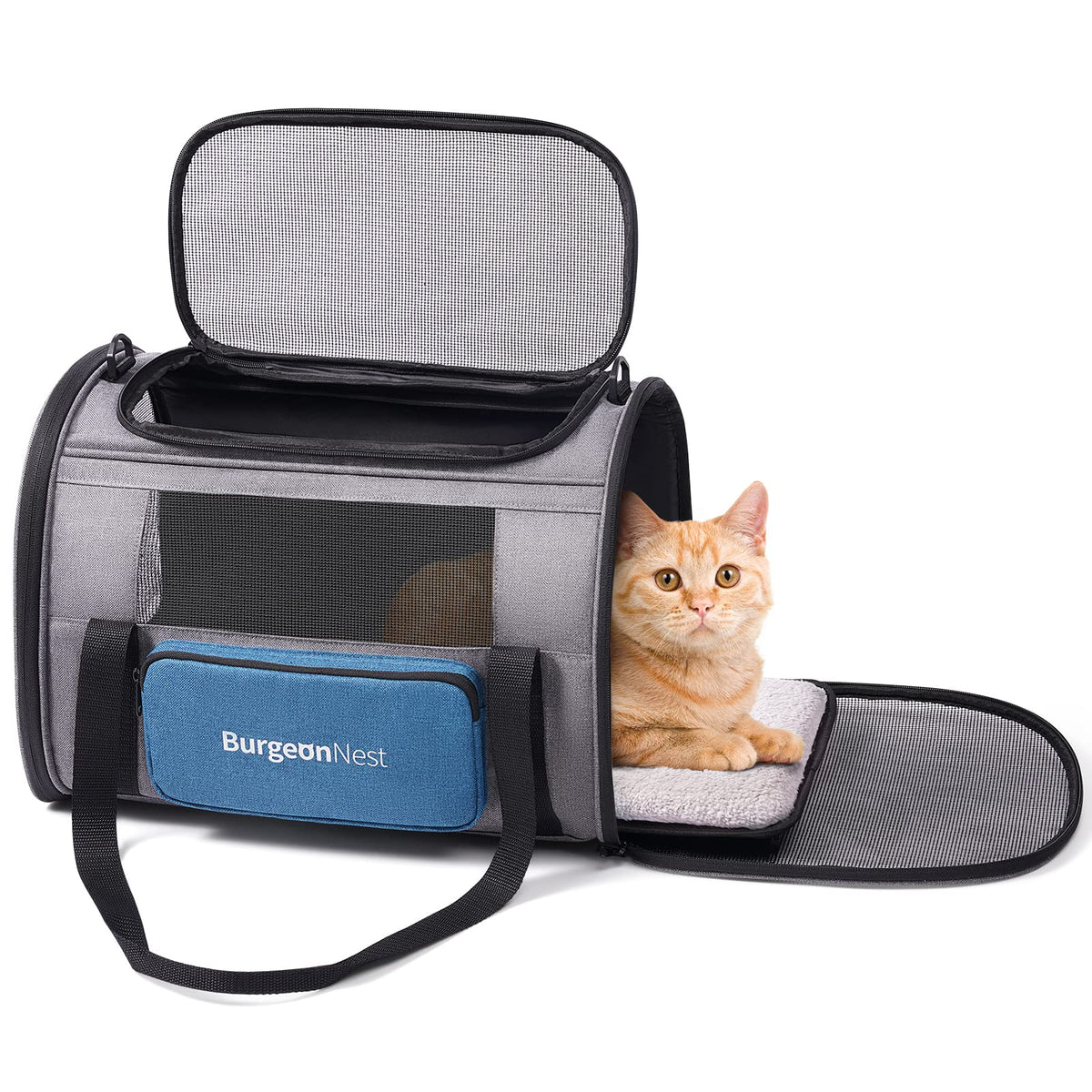BurgeonNest cat carrier large frame supports bigger cats during travel.