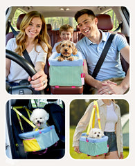 BurgeonNest dual protection seatbelts demonstrated for safer braking