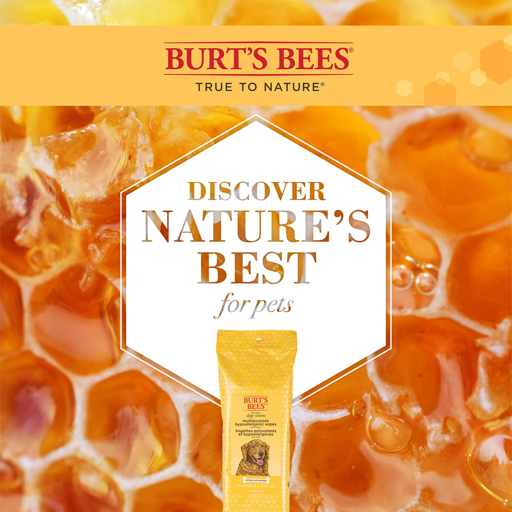 Burt's Bees for Pets honey ingredient close-up emphasizing natural conditioning.