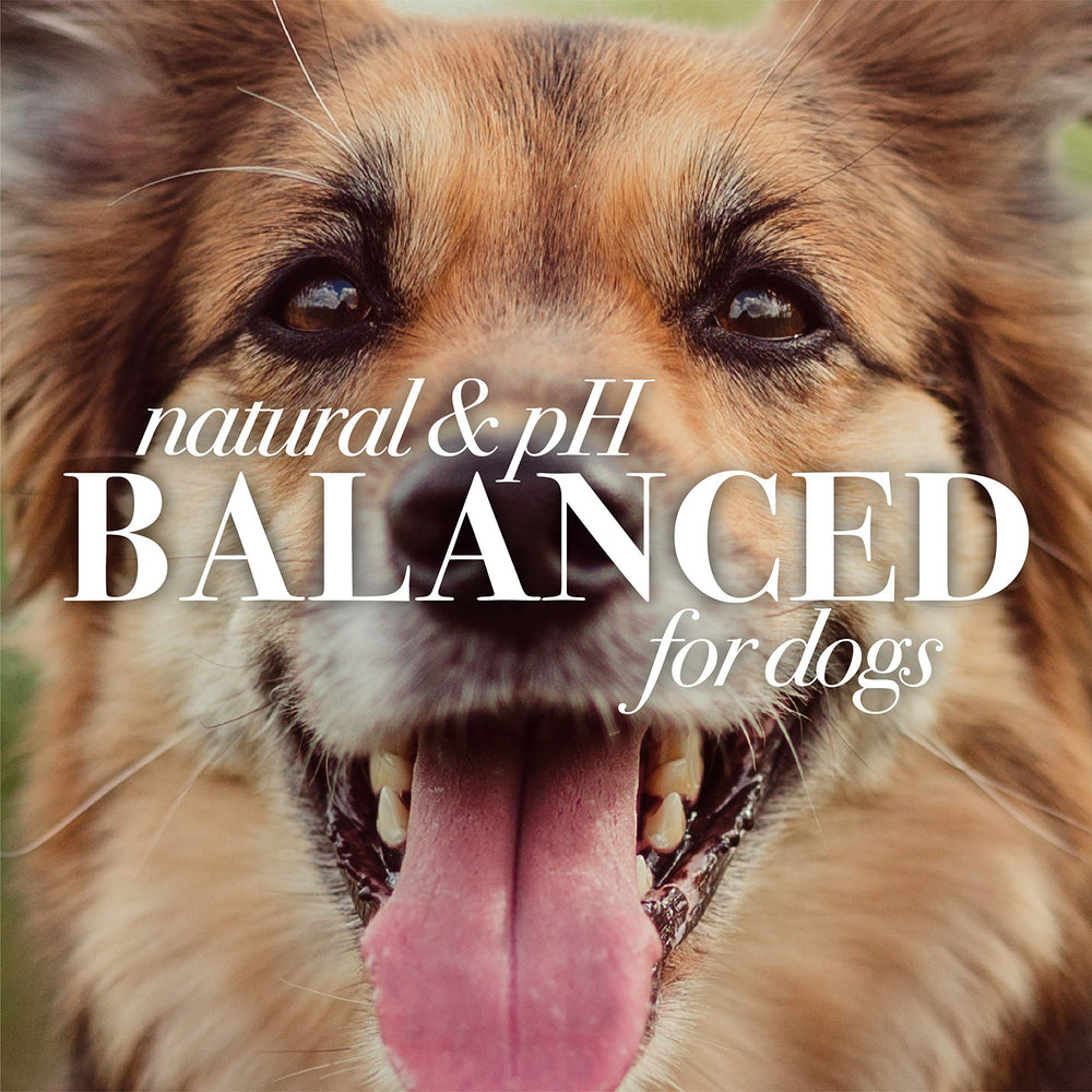 Burt's Bees for Pets made-in-USA label signals trusted sourcing.