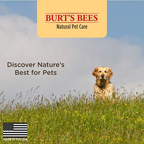 Burt's Bees for Pets wipe left on coat for shiny, clean finish.