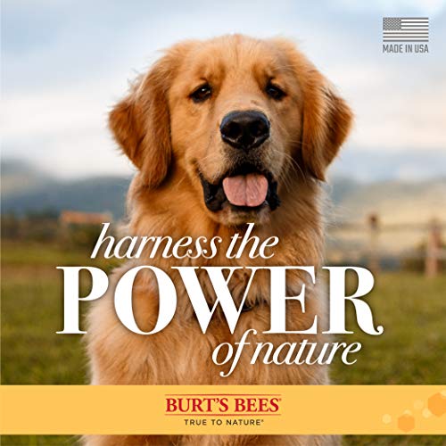 Burt's Bees for Pets wipes container open for easy access during walks.