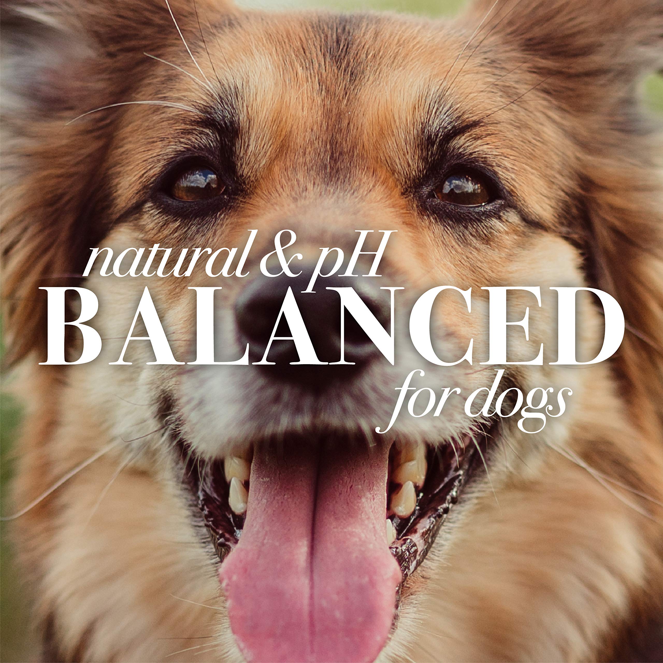 Burt's Bees for Pets wipes balanced for pet skin pH.
